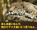 Animal_118.jpg