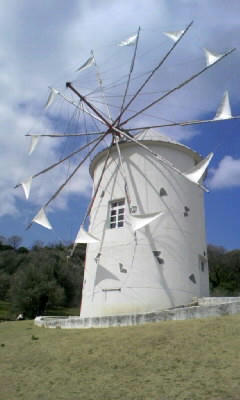 090320_124633.JPG