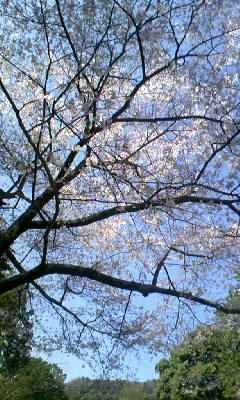 090321_101157.JPG