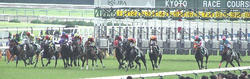 20060618-11Ｒ-Race1