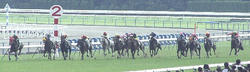 20060618-11Ｒ-Race2