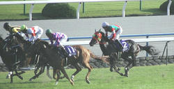 Race-061015_11R