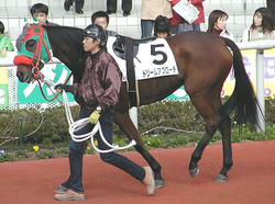 Dream_Approach-061203-1
