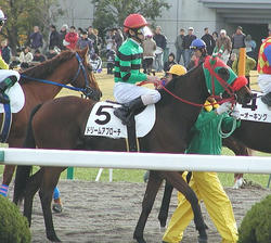 Dream_Approach-061203-5