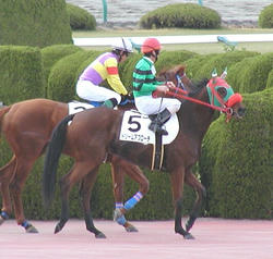 Dream_Approach-061203-6