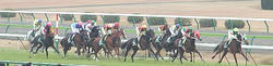 Race-061216_11R-1