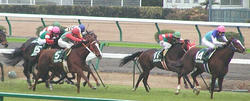 Race-061216_11R-3