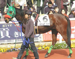 Dream_Approach-080302-1