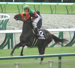 20060527-10R-12-Solid_Platinum３
