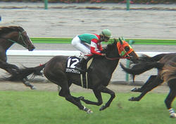 20060527-10R-Race