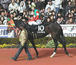 20060319-10R-Solid_Platinum