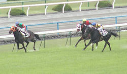 20060429-06R-Race