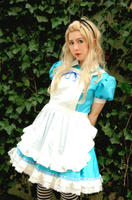 20100328a01.jpg