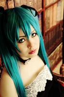 miku01100523.jpg