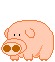 buta-ani.gif