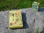 P1000197.JPG