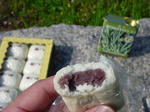 P1000199.JPG