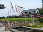 P1000209.JPG