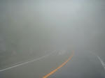 P1000320.JPG
