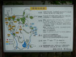 P1000312.JPG