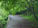 P1000311.JPG