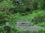 P1000337.JPG