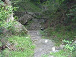 P1000338.JPG