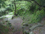 P1000342.JPG
