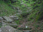 P1000339.JPG