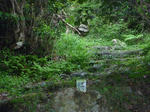 P1000335.JPG