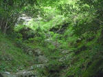 P1000340.JPG