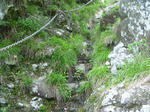 P1000348.JPG