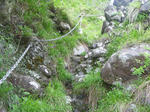 P1000349.JPG