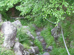P1000351.JPG
