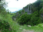 P1000381.JPG
