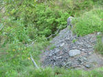 P1000290.JPG