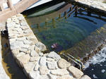 P1000490.JPG