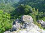 P1000449.JPG