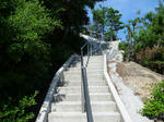 P1000610.JPG