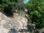 P1000559.JPG