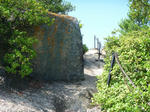 P1000599.JPG