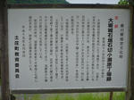 P1000677.JPG