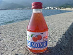 P1000975.JPG