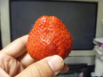 P1010405.JPG