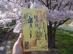 P1010771.JPG