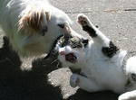 200511.jpg