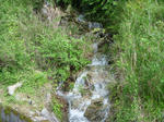 P1010924.JPG