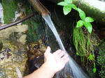 P1020037.JPG