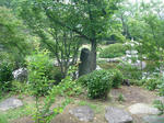 P1020018.JPG