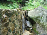 P1020034.JPG